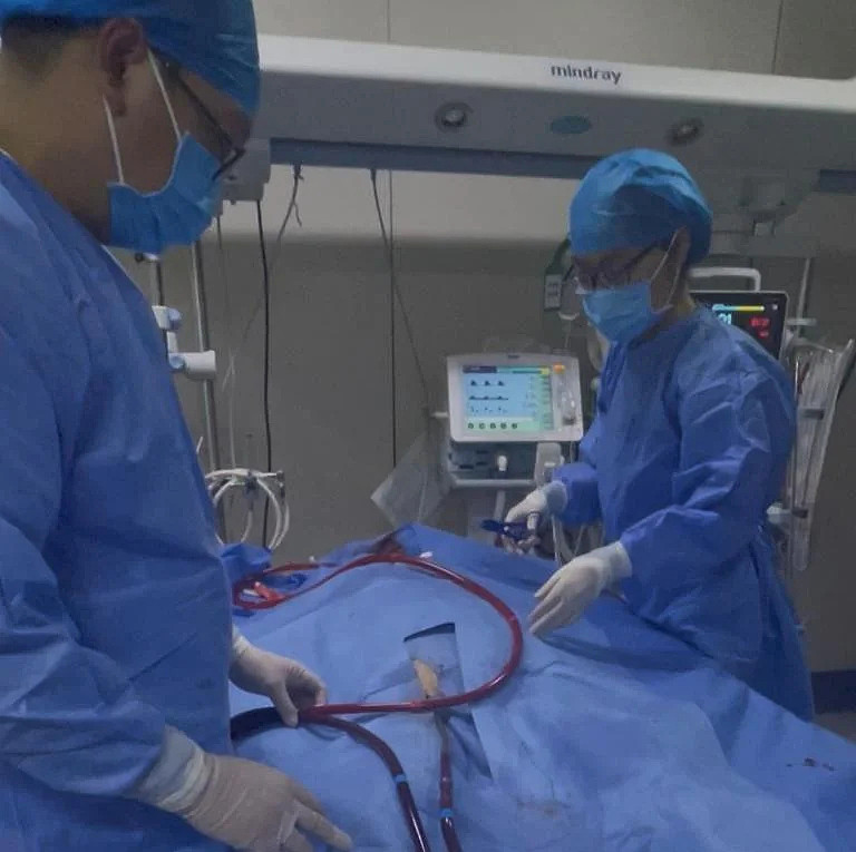 桂林夫妻在楼道养鸡双双住进ICU，医生揪出元凶（组图） - 2