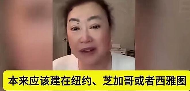 美国华裔女士逛中国：“这繁荣，本该属于美国”，真相太解气（组图） - 7