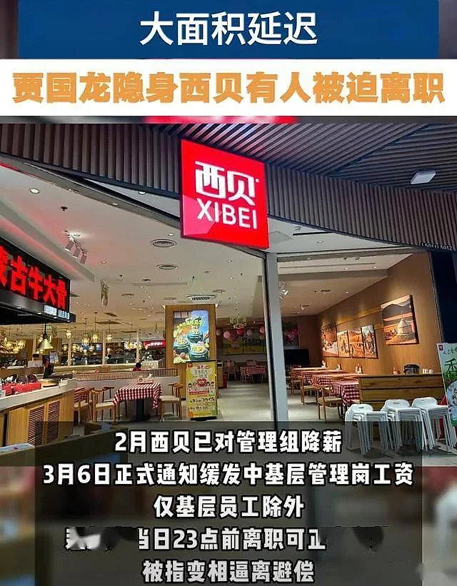 西贝人设崩塌大面积欠薪！6亿亏损全让员工扛（组图） - 2