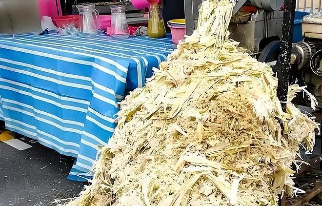 印度每年榨糖，剩下7500万吨甘蔗渣，中国人用它造出了科技王炸！（组图） - 3