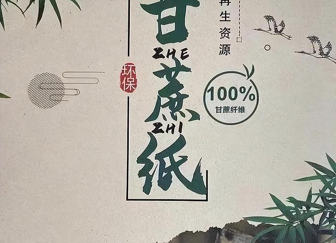 印度每年榨糖，剩下7500万吨甘蔗渣，中国人用它造出了科技王炸！（组图） - 4