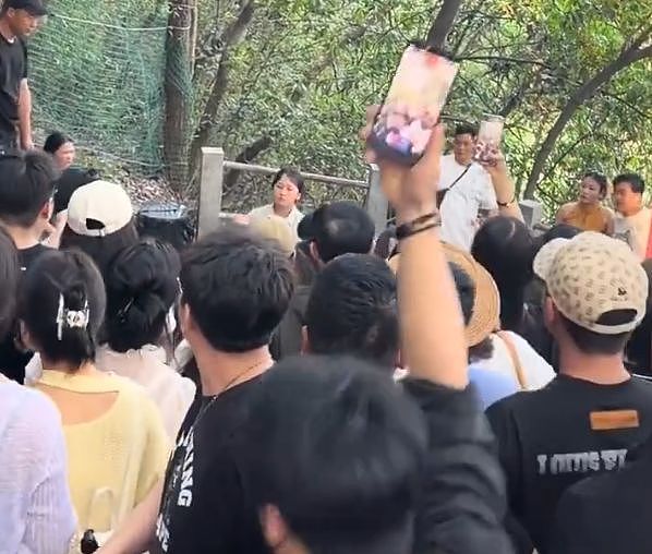 炸裂！女子爬山撞破奸情，男友偷偷约会好闺蜜，正牌女友变前女友（组图） - 4