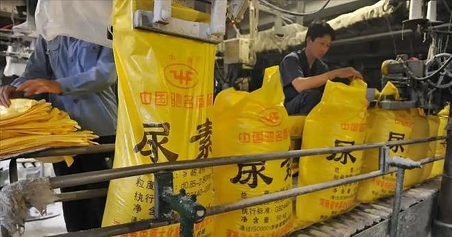 差价5000元!中越边境爆发走私潮,中国7750万吨产能强势护盘!(组图) - 4