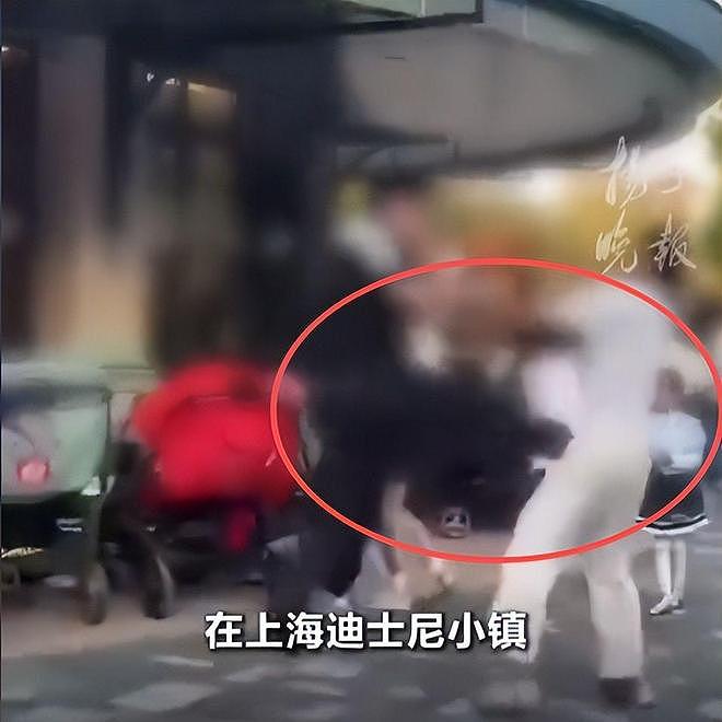 迪士尼男子劝烟反被扇脸！赔偿金五位数，警方定性，和解也得坐牢（组图） - 3