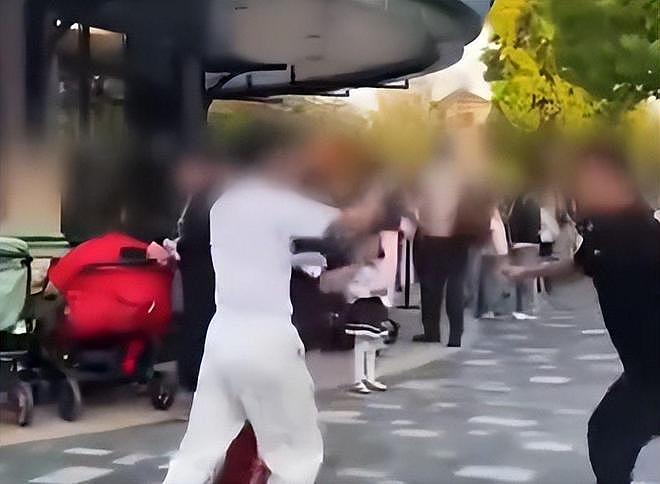 迪士尼男子劝烟反被扇脸！赔偿金五位数，警方定性，和解也得坐牢（组图） - 8