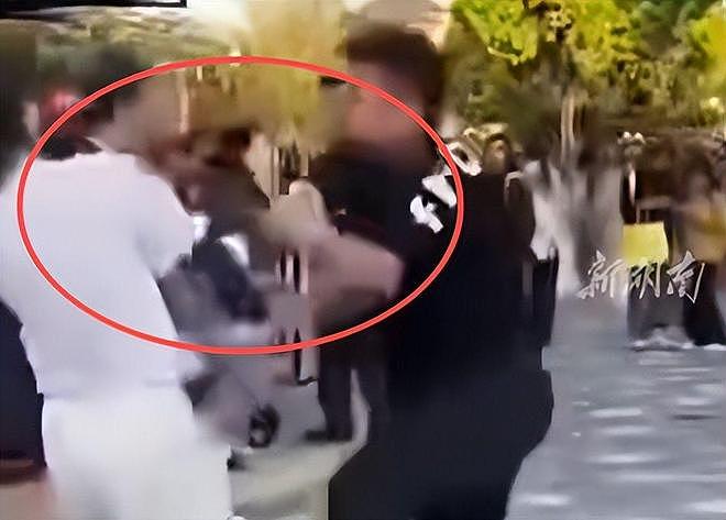 迪士尼男子劝烟反被扇脸！赔偿金五位数，警方定性，和解也得坐牢（组图） - 12