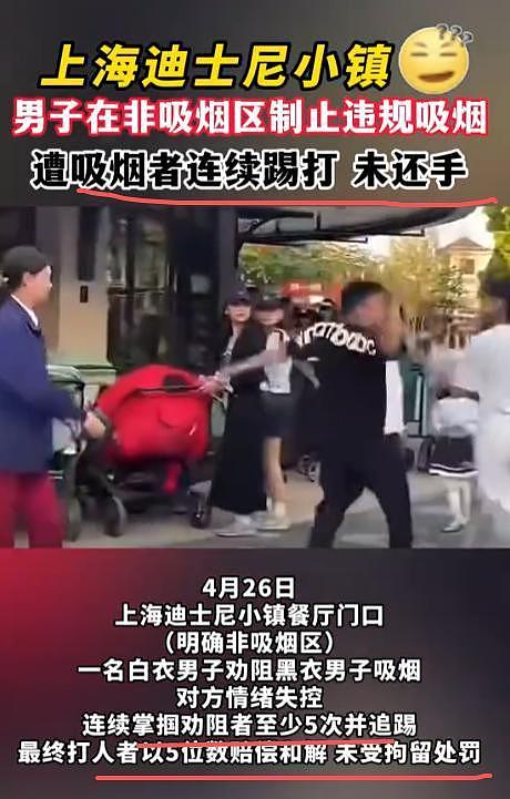 迪士尼男子劝烟反被扇脸！赔偿金五位数，警方定性，和解也得坐牢（组图） - 15