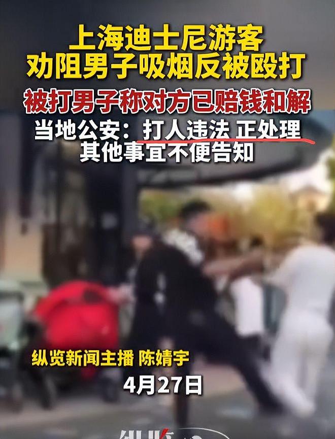 迪士尼男子劝烟反被扇脸！赔偿金五位数，警方定性，和解也得坐牢（组图） - 16