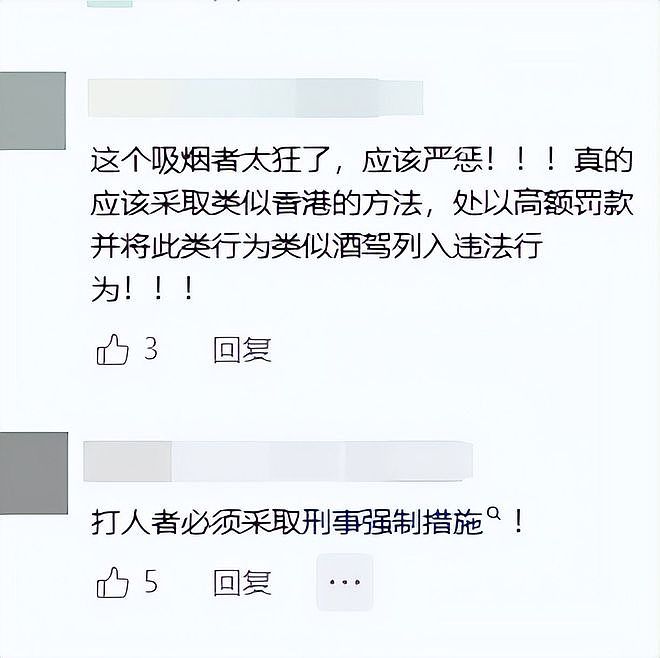迪士尼男子劝烟反被扇脸！赔偿金五位数，警方定性，和解也得坐牢（组图） - 18