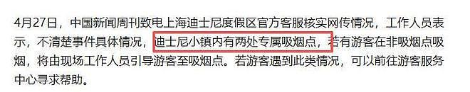 迪士尼男子劝烟反被扇脸！赔偿金五位数，警方定性，和解也得坐牢（组图） - 19