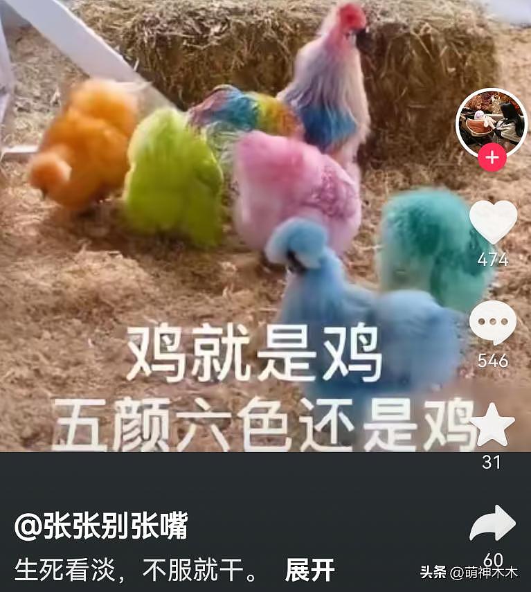 张雪峰前女友开撕现女友,怒斥对方插足心机重(组图) - 20