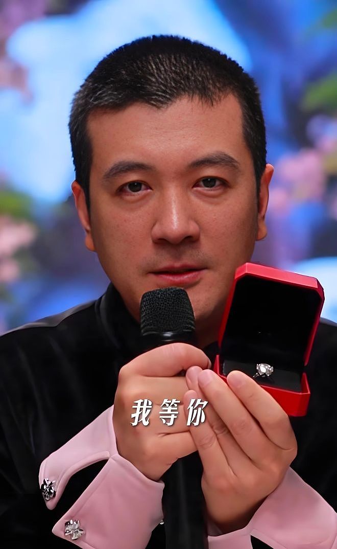 综艺里哭着求复合,转头让新欢生子,黄圣依17年的体面被撕得粉碎(组图) - 7