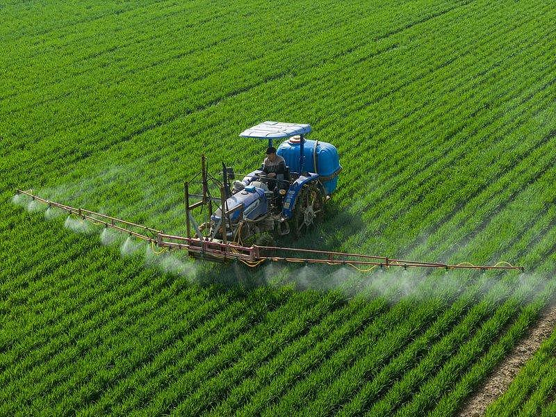 路透:中国加强肥料出口海关检查,硫酸铵纳入管制范围 - 1