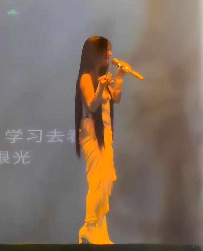 单依纯演唱会氛围诡异,穿的像马桶刷,歌曲独白疑暗怼硬刚李荣浩 - 7
