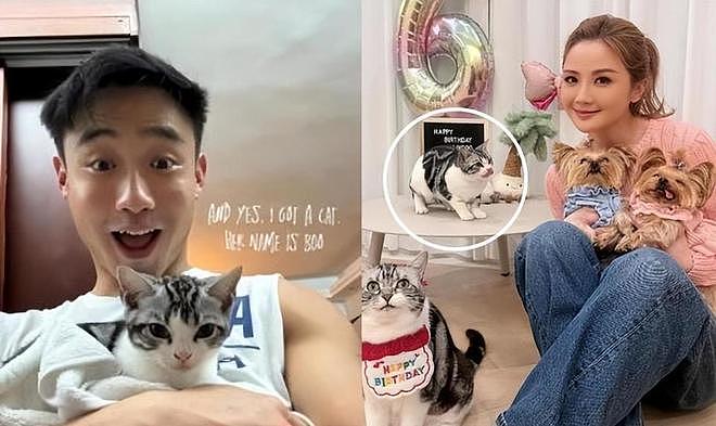 阿Sa官宣结婚不到24小时,男方被扒底朝天,身份不简单,全是猛料 - 38