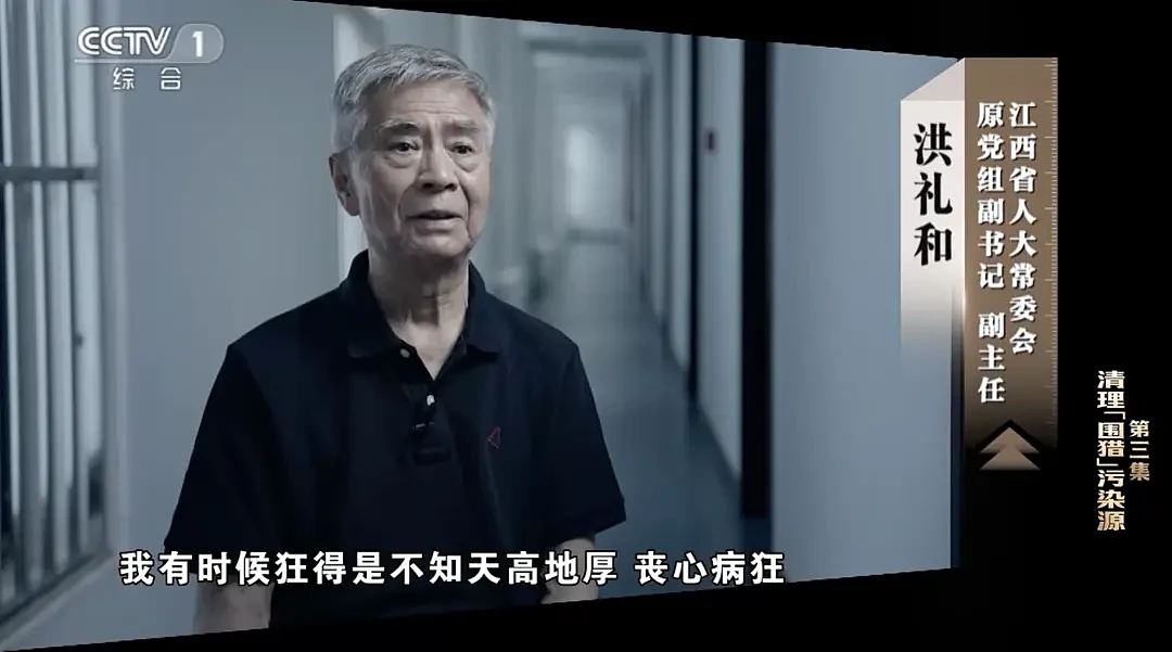 回到南昌,有你好瞧的!副部级洪礼和被判20年...(组图) - 4