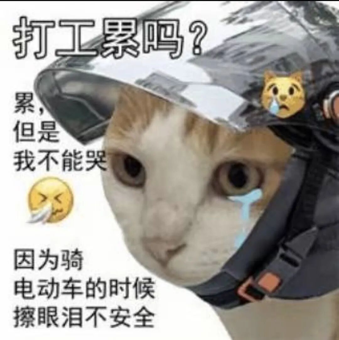 国安部说“躺平是境外势力蛊惑”，年轻人疑惑（图） - 1