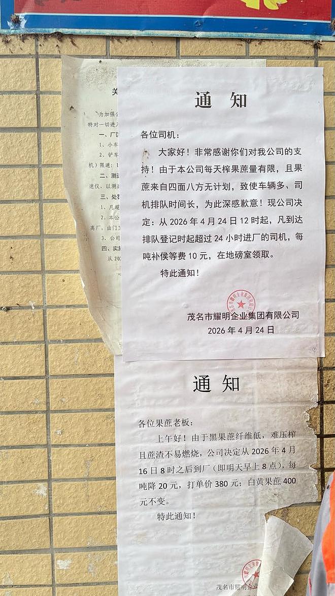 “最暖糖厂”外每日近三百辆蔗车，厂长：百年后可能也没人榨这么多果蔗（组图） - 2