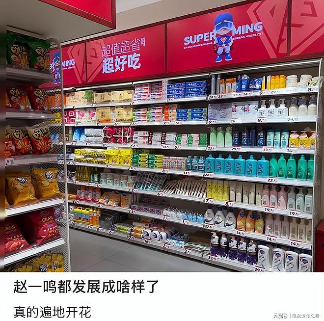 赵一鸣横扫县城，6000家店成山姆平替，利润暴涨500%（组图） - 14