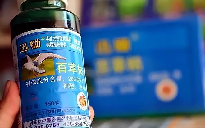 19岁男孩喝百草枯苦熬18天，逼在外打工母亲回家，母亲：你放心去（组图） - 2