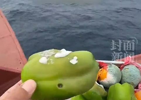 21名中国船员困霍尔木兹海峡60日断粮！船长：有人去世遗体存冷库（组图） - 3