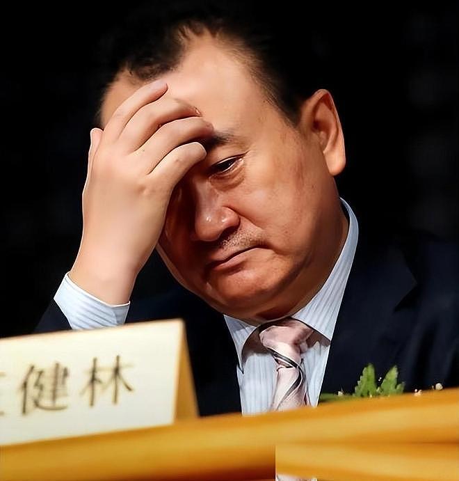 太扎心！72岁王健林被逼到崩溃，6000亿负债，连利息都快付不起了（组图） - 8