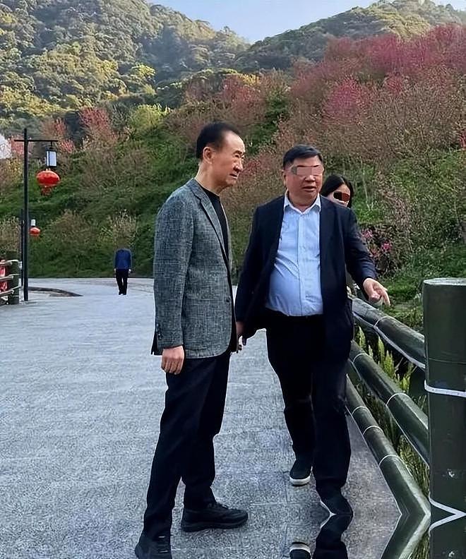 太扎心！72岁王健林被逼到崩溃，6000亿负债，连利息都快付不起了（组图） - 12