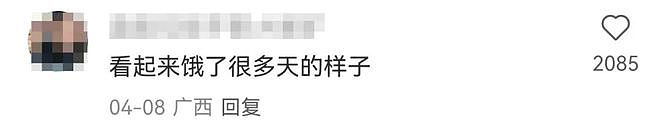 审美又翻车!童瑶miumiu海报遭全网吐槽,网友:千金风改家政风,小姐结婚了?(组图) - 12