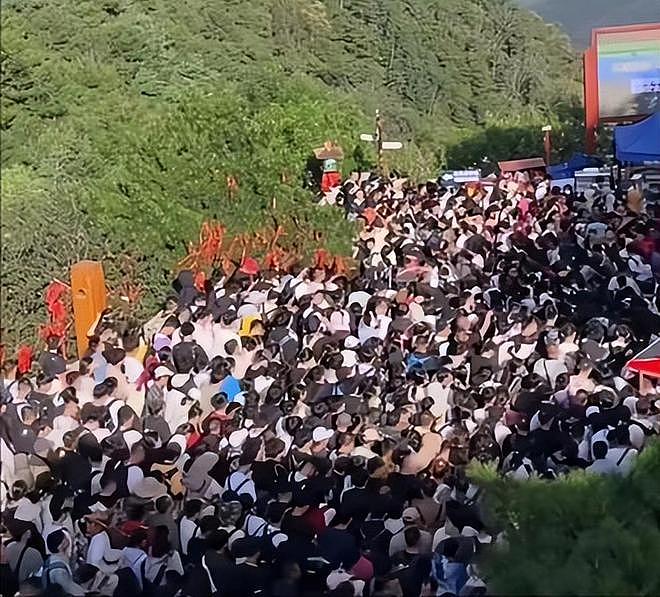 景区内游客爆发肢体争执，冲突中多人坠落，现场实景被拍下（组图） - 9