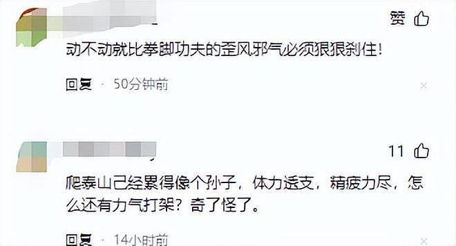 景区内游客爆发肢体争执，冲突中多人坠落，现场实景被拍下（组图） - 11