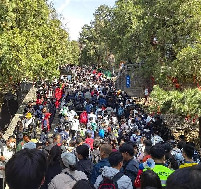 景区内游客爆发肢体争执，冲突中多人坠落，现场实景被拍下（组图） - 19