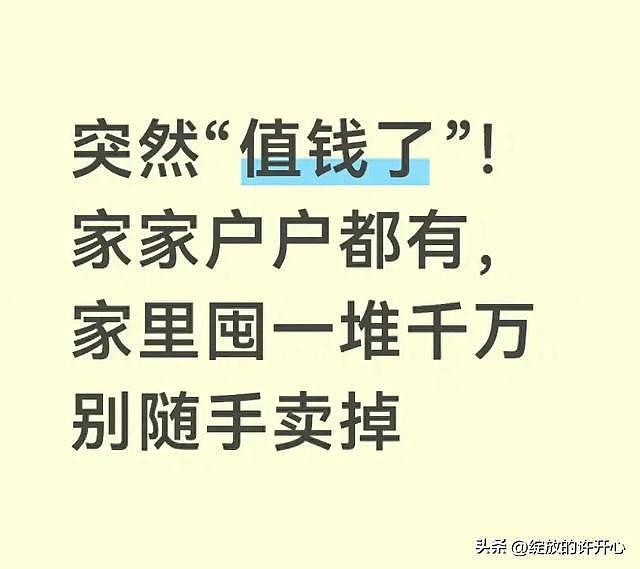 突然“值钱了”!家家户户都有,家里囤一堆千万别随手卖掉 - 1