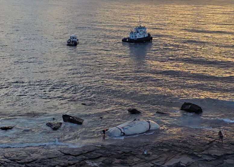 海水被鲜血染红,引来大量鲨鱼!鲸鱼尸体被冲新州海滩,“分尸”引围观(组图) - 3