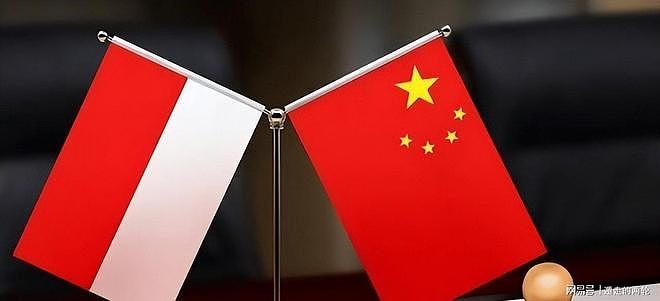 又一个巴拿马？中国耗时七年倾尽百亿出海，竟成最蠢的赔本买卖 - 5