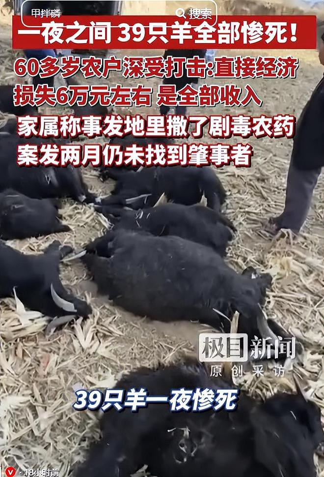 39只羊全被毒死后续！知情人曝猛料，网友一边倒：只能说咎由自取 - 1