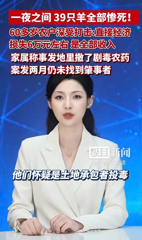 39只羊全被毒死后续！知情人曝猛料，网友一边倒：只能说咎由自取 - 10