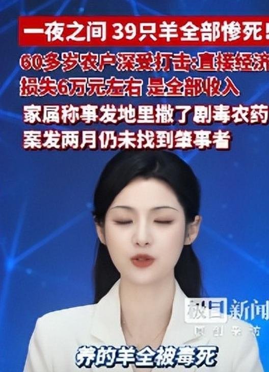 39只羊全被毒死后续！知情人曝猛料，网友一边倒：只能说咎由自取 - 13