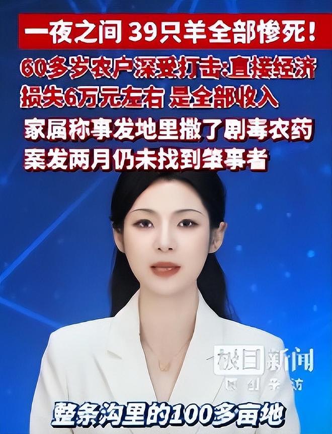 39只羊全被毒死后续！知情人曝猛料，网友一边倒：只能说咎由自取 - 14