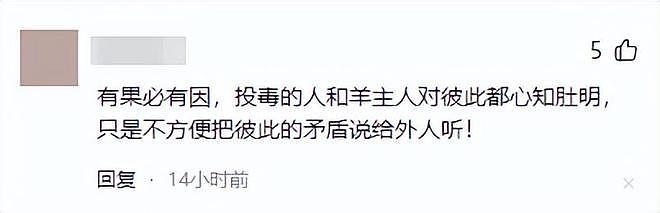 39只羊全被毒死后续！知情人曝猛料，网友一边倒：只能说咎由自取 - 18