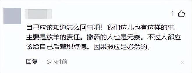 39只羊全被毒死后续！知情人曝猛料，网友一边倒：只能说咎由自取 - 19