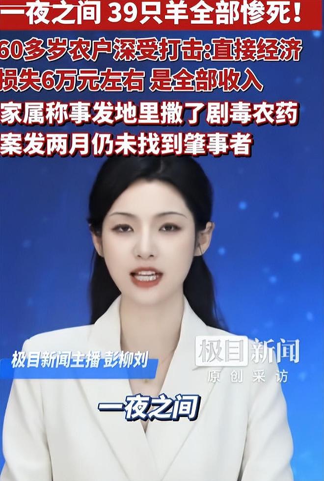 39只羊全被毒死后续！知情人曝猛料，网友一边倒：只能说咎由自取 - 22