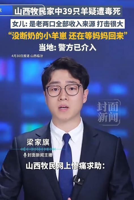 39只羊全被毒死后续！知情人曝猛料，网友一边倒：只能说咎由自取 - 23