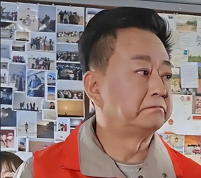 8年前那个诬告朱军“性骚扰”，让朱军身败名裂的弦子，如今怎样 - 1