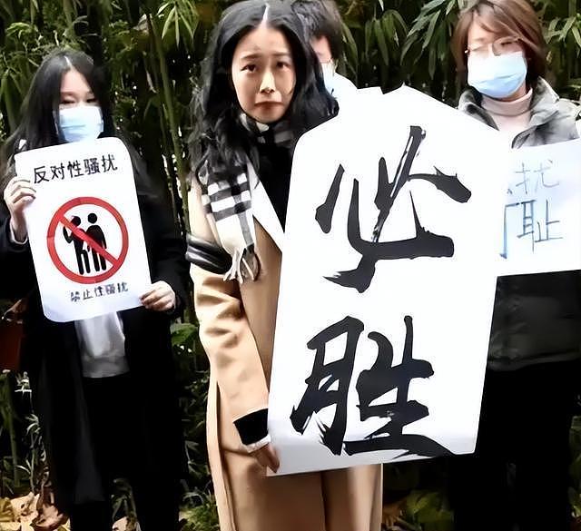 8年前那个诬告朱军“性骚扰”，让朱军身败名裂的弦子，如今怎样 - 18