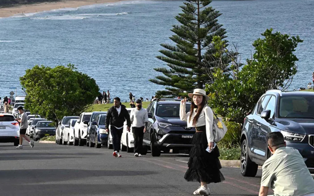 澳洲“最美街道”爆红，大批游客涌入打卡！当地民众“卖房逃跑”（组图） - 5