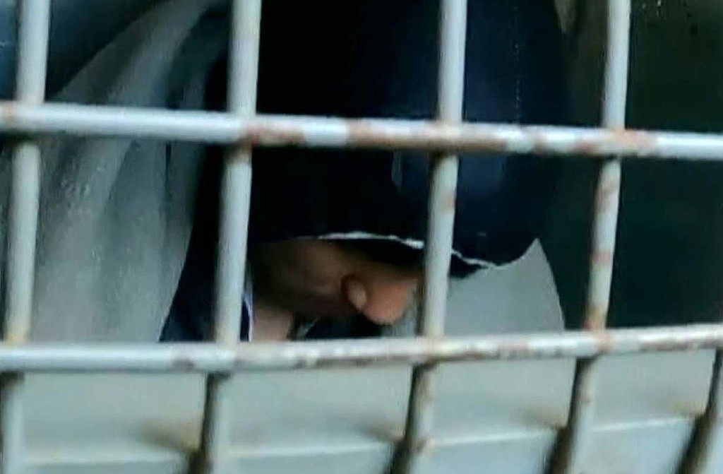 【悉尼华人家庭三尸命案】长子涉残杀父母弟弟，邻居难以接受惨案发生（组图） - 14