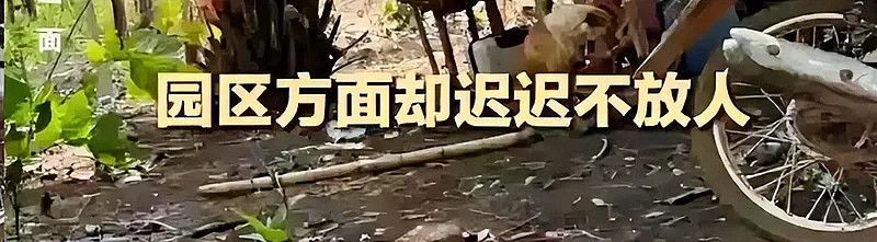 广东女大学生被卖缅甸园区，家属付20万赎金！对方竟要求媒体删稿才放人（组图） - 7