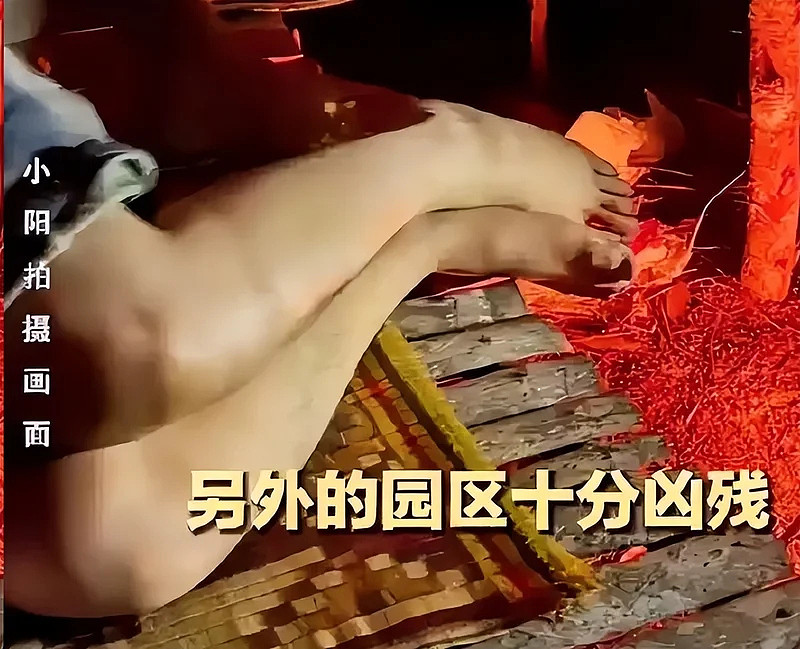 广东女大学生被卖缅甸园区，家属付20万赎金！对方竟要求媒体删稿才放人（组图） - 14