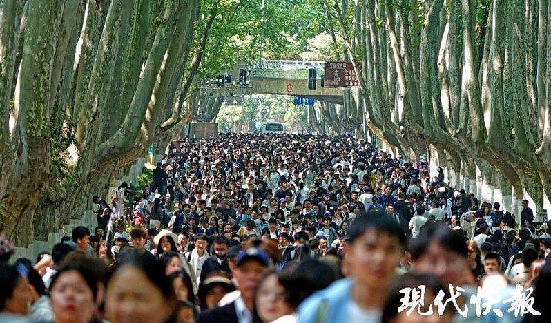 五一出行人潮挤爆!2万人冲泰山看日出,打地铺也愿意(组图) - 4