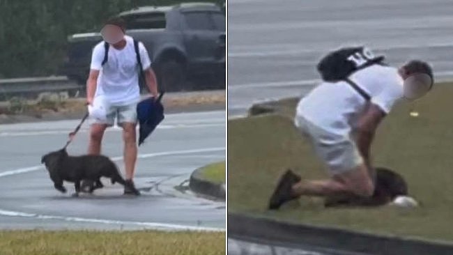 澳街头惊现虐狗事件！男子当街勒颈踢踹，警方急寻目击者 - 1
